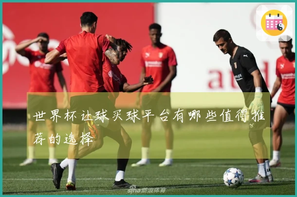 世界杯让球买球平台有哪些值得推荐的选择